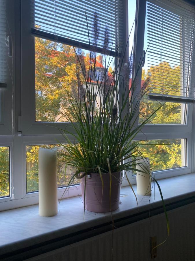 Central City Privatapartment Relax-Inn, Netflix & Sky Tv! Hannover Dış mekan fotoğraf